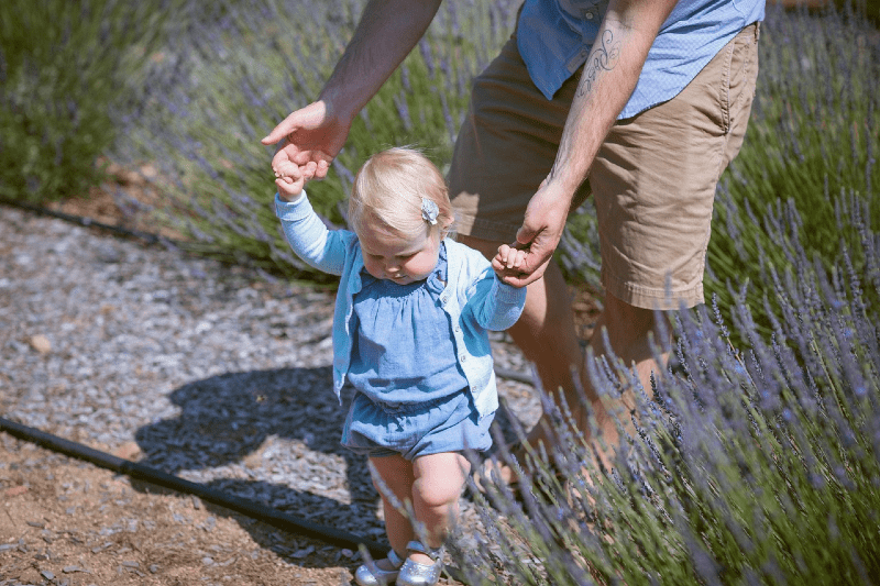 nature walk