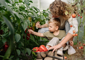 child-with-mom-harvesting