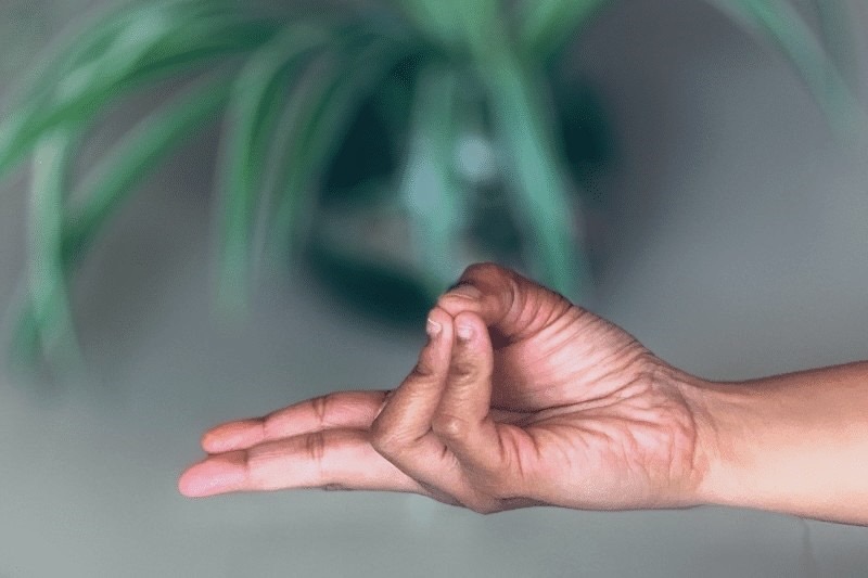 pran mudra yoga